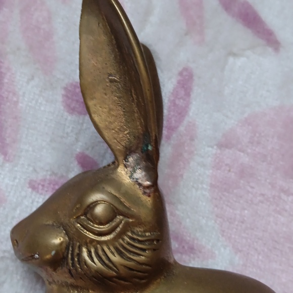 Brass Rabbit - Picture 3 of 6